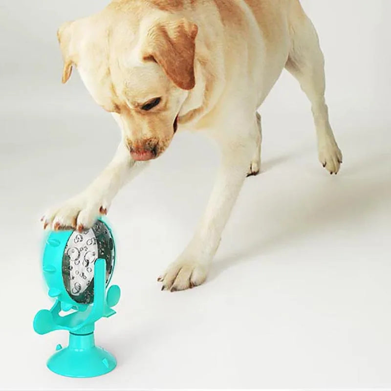 Pawsome 360 Spinner - Smart, Fun, Entertaining and Interactive! - For Cats and Small Dogs - WOWGOOD